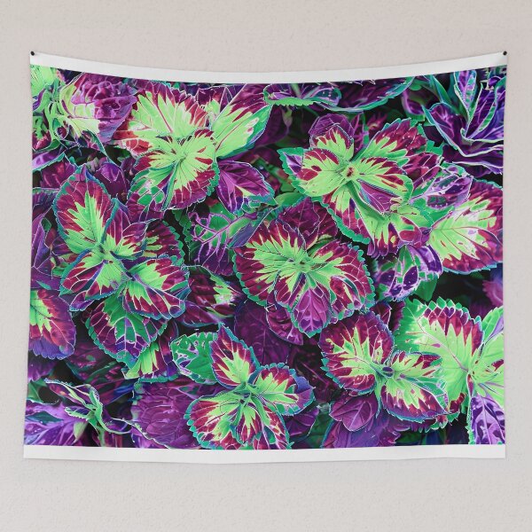Item preview, Vibrant Clementine Columbia Coleus Leaves in Detailed Close Up designed and sold by graphicnew.