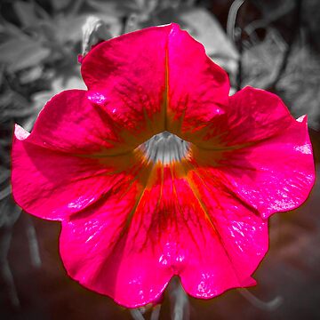 Artwork thumbnail, Fleur de Rouge by margotb70