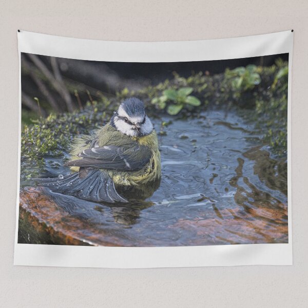 Item preview, blue tit, having a bath designed and sold by kathleenjean.