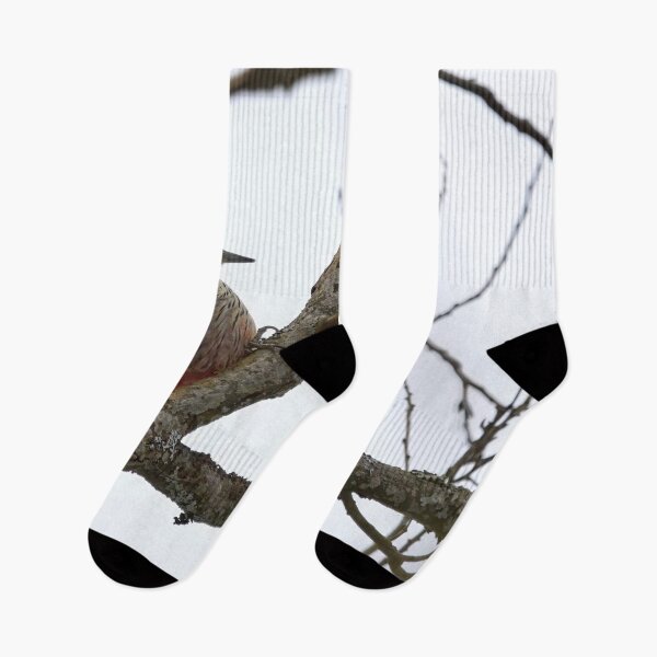 Item preview, High there. White-backed woodpecker designed and sold by Jouko Lehto Photography.