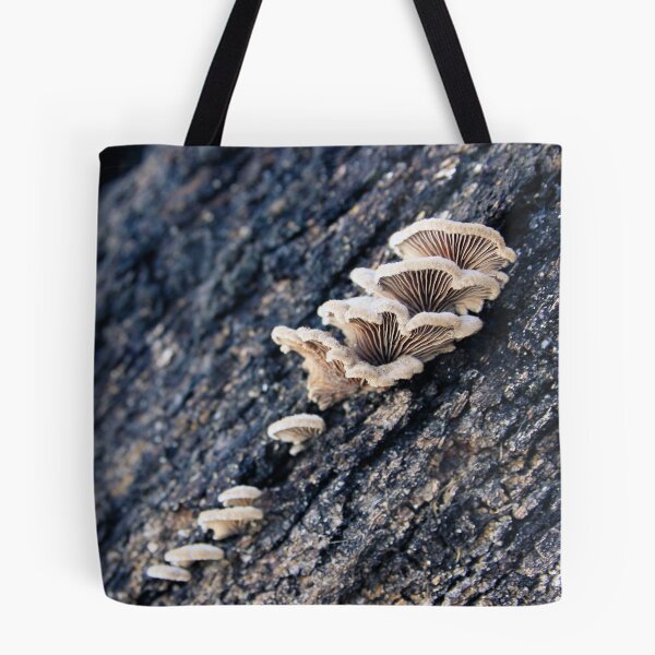 Item preview, Fungi designed and sold by Hannah Welbourn.