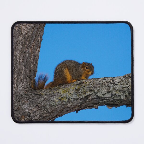 Item preview, High Up In the Trees designed and sold by TheeForestFox Shop.