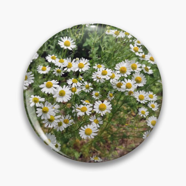 Item preview, chamomile designed and sold by Gourmetkater.