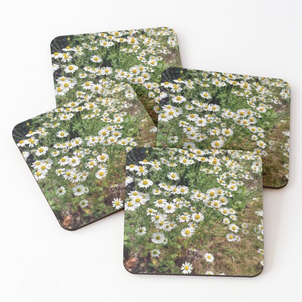 Item preview, chamomile designed and sold by Gourmetkater.