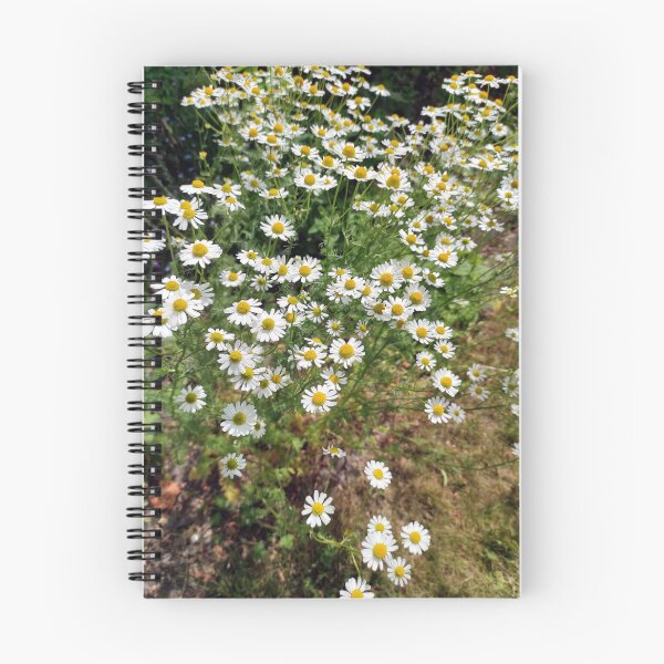 Item preview, chamomile designed and sold by Gourmetkater.