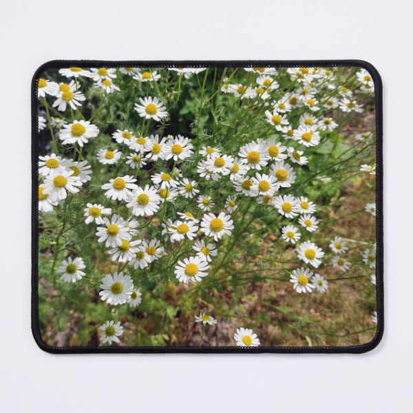 Item preview, chamomile designed and sold by Gourmetkater.