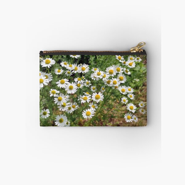 Item preview, chamomile designed and sold by Gourmetkater.