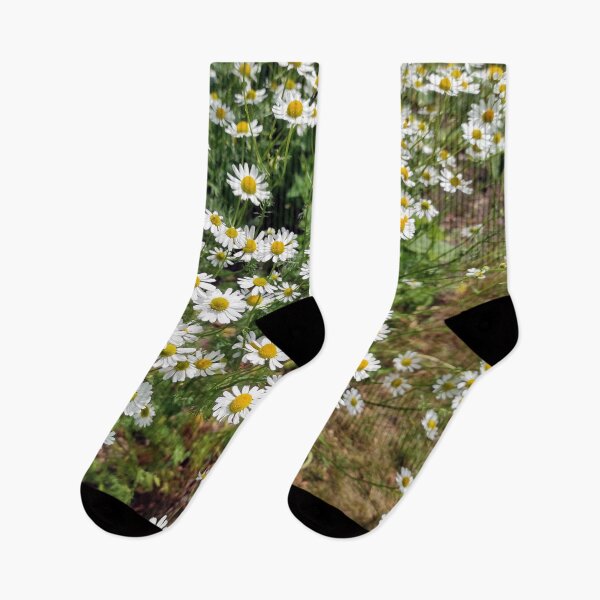 Item preview, chamomile designed and sold by Gourmetkater.