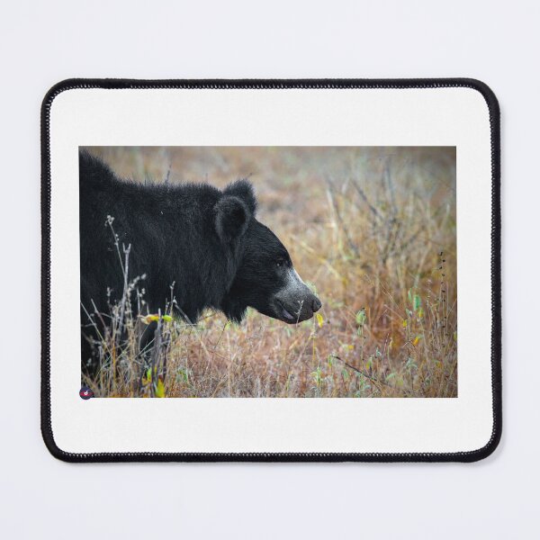 Item preview, Bear with me designed and sold by lucidillusions.