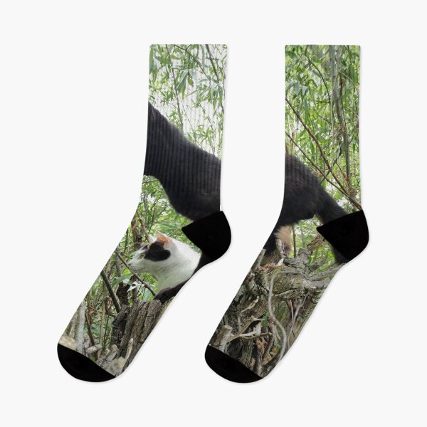 Item preview, Cats on pasture designed and sold by Gourmetkater.
