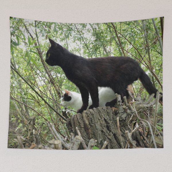 Item preview, Cats on pasture designed and sold by Gourmetkater.