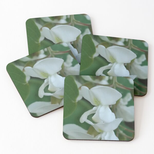 Item preview, Delicate White Acacia Flowers – Natural Elegance designed and sold by m_photography_hobby.