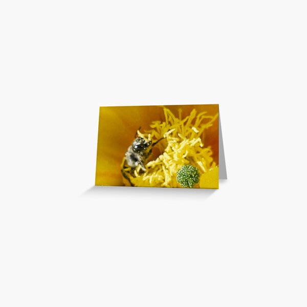Vista previa del artículo con la obra «Foto de abeja trabajadora», diseñado y vendido por beckscre8tive.