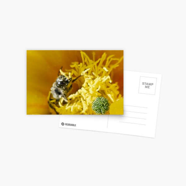 Item preview, Busy Bee Photo designed and sold by beckscre8tive.