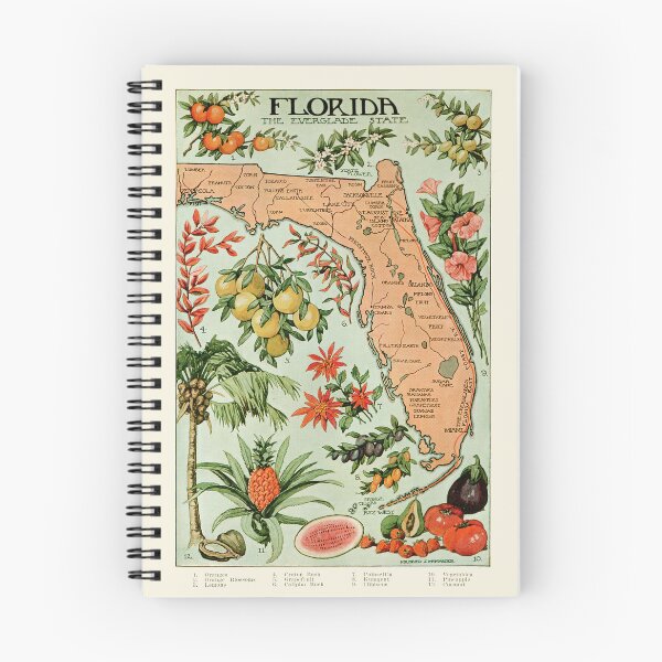 Item preview, Florida: The Everglade State Vintage Tropical Plants Poster designed and sold by Designs by Kool Kat.