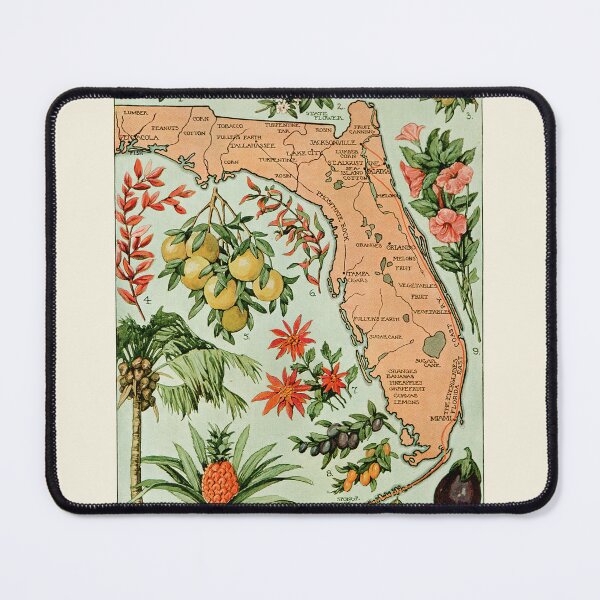Item preview, Florida: The Everglade State Vintage Tropical Plants Poster designed and sold by Designs by Kool Kat.
