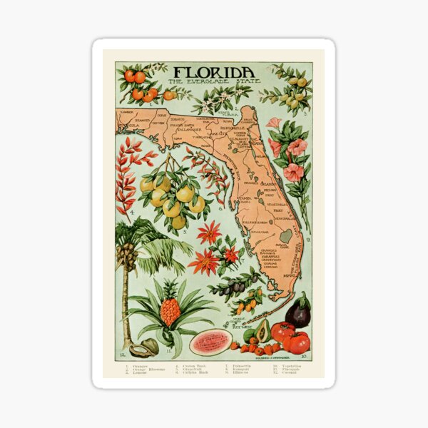 Item preview, Florida: The Everglade State Vintage Tropical Plants Poster designed and sold by Designs by Kool Kat.