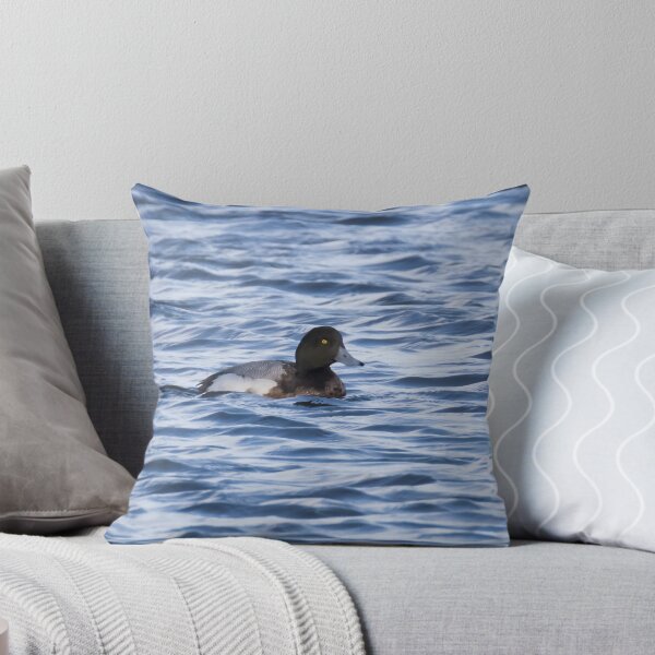 Item preview, Greater Scaup designed and sold by LaurenTucker.
