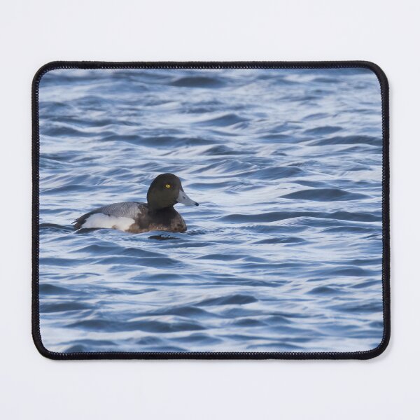 Item preview, Greater Scaup designed and sold by LaurenTucker.