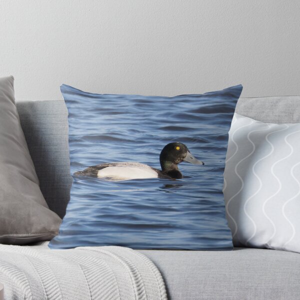 Item preview, Greater Scaup designed and sold by LaurenTucker.