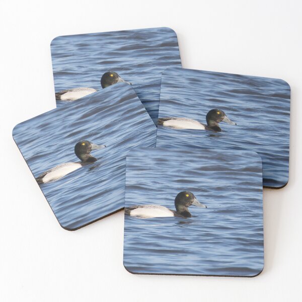 Item preview, Greater Scaup designed and sold by LaurenTucker.