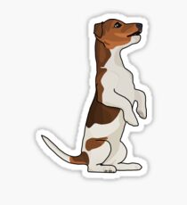 Cute jack russel Sticker