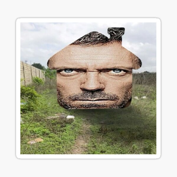 Item preview, House MD House Brainrot designed and sold by EarwigDesigns.