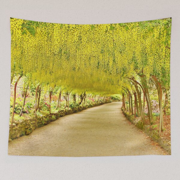Item preview, LABURNUM ARCH at Bodnant Gardens N.Wales designed and sold by AnnDixon.