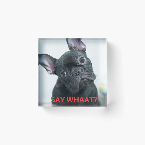 Item preview, SAY WHAAT? designed and sold by PROUSAANTIMAGA.
