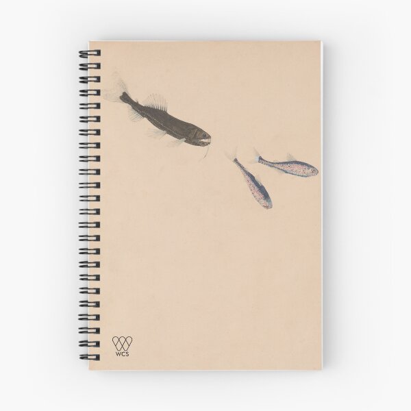 Item preview, Hudson Canyon Snaggletooth Pursuing Lanternfish designed and sold by WCS-Archives.