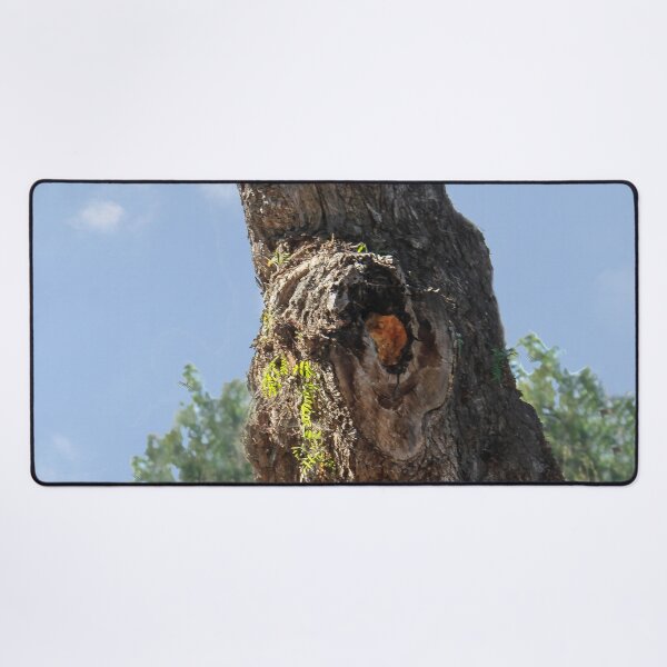 Item preview, Nature's Masterpiece designed and sold by heatherfriedman.