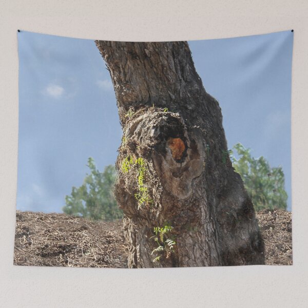 Item preview, Nature's Masterpiece designed and sold by heatherfriedman.