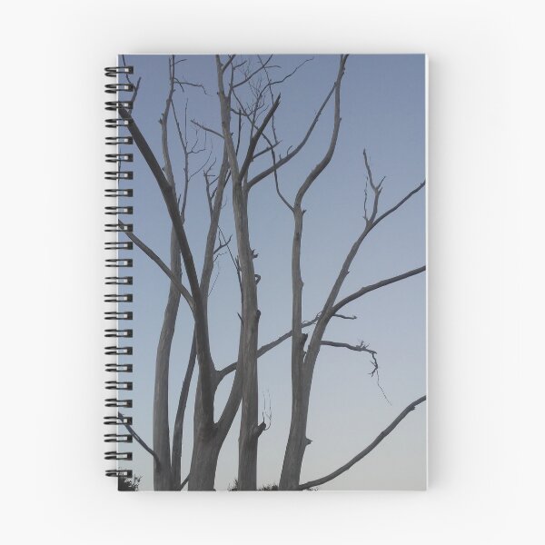 Item preview, tree.death,winter, designed and sold by Ispain88.