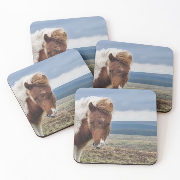 Item preview, Dartmoor Pony designed and sold by DiddyH.