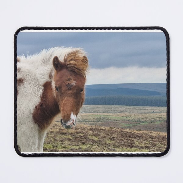 Item preview, Dartmoor Pony designed and sold by DiddyH.
