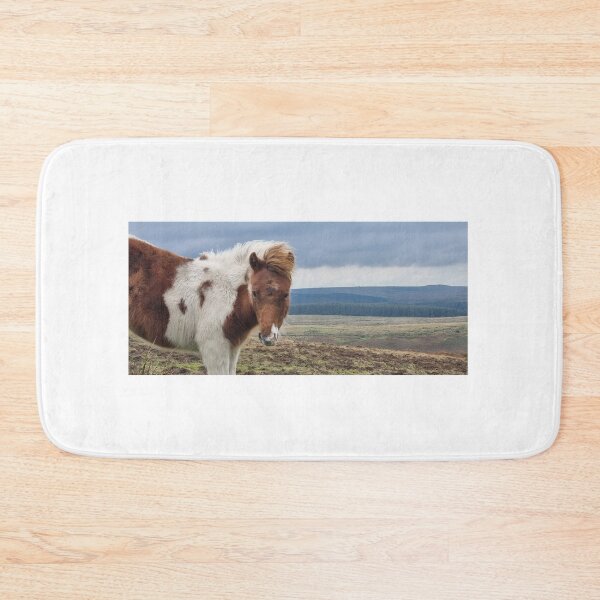 Item preview, Poni de Dartmoor designed and sold by DiddyH.