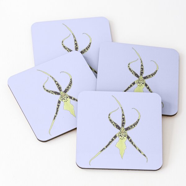Item preview, Spider Orchid-White  designed and sold by Floralfusion.