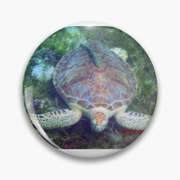 Item preview, Green Turtle designed and sold by Redbaygirl.
