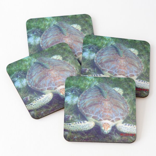 Item preview, Green Turtle designed and sold by Redbaygirl.