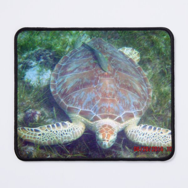 Item preview, Green Turtle designed and sold by Redbaygirl.