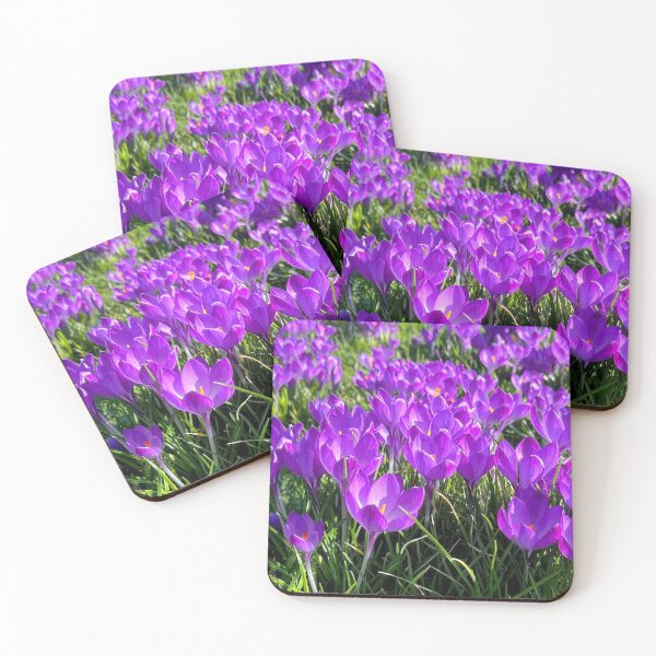 Item preview, Purple Crocus Spring Panorama designed and sold by Violaman.