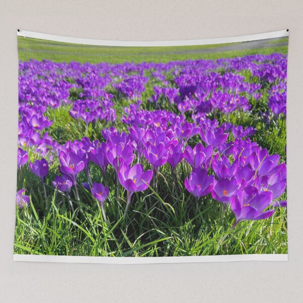 Item preview, Purple Crocus Spring Panorama designed and sold by Violaman.