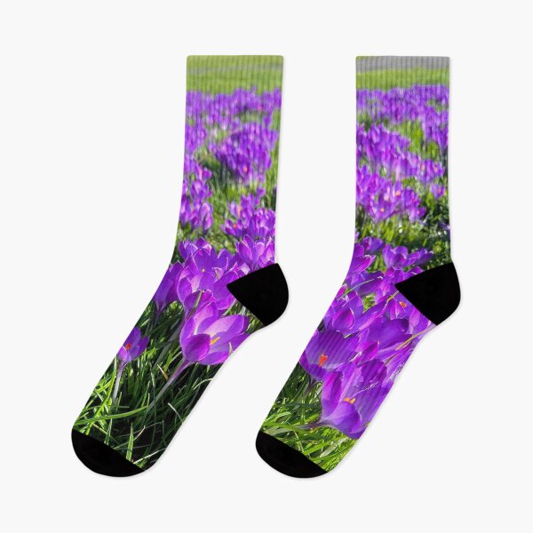 Item preview, Purple Crocus Spring Panorama designed and sold by Violaman.