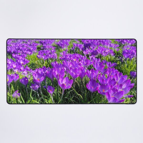 Item preview, Purple Crocus Spring Panorama designed and sold by Violaman.