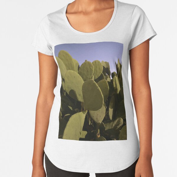 Vista previa del artículo con la obra «Buenas noches cactus», diseñado y vendido por JMSTYLEHOUSE.
