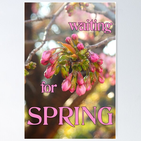 Item preview, Waiting for Spring designed and sold by Elinda96.