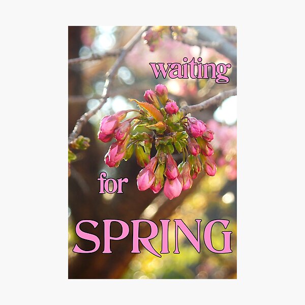 Item preview, Waiting for Spring designed and sold by Elinda96.