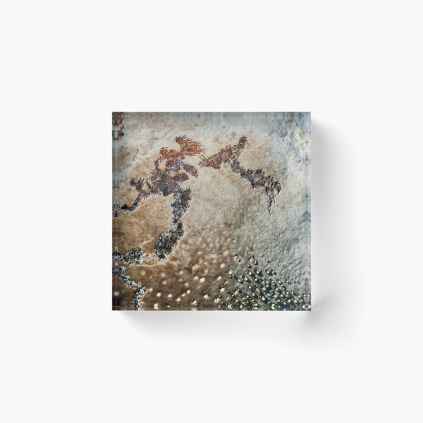 Item preview, Tattooed Fungi designed and sold by Eidetic Photos.