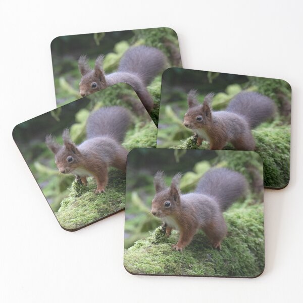 Item preview, Cumbrian Red Squirrel designed and sold by RedGrouse.