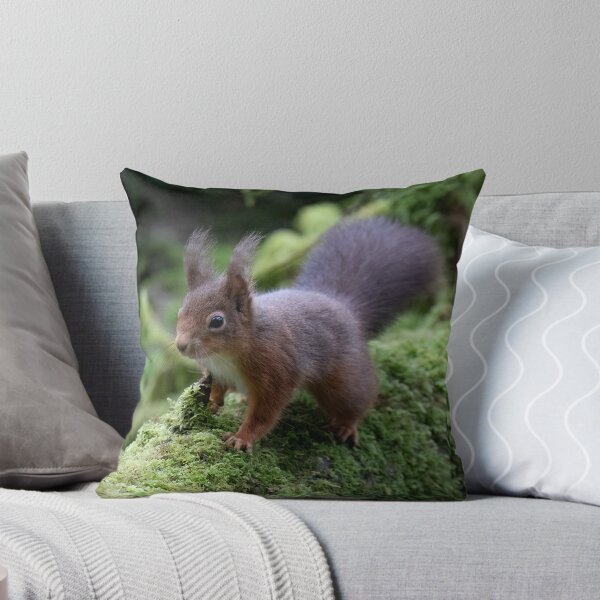 Item preview, Cumbrian Red Squirrel designed and sold by RedGrouse.